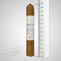 Leonel White Robusto einzeln