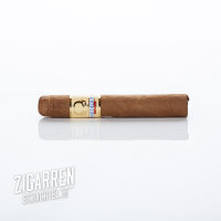 Asylum Insidious Robusto einzeln