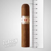 VegaFina Short Robusto einzeln