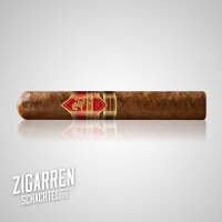 Principes Nicaragua Robusto einzeln