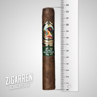 Dona Flor Mata Fina Puro Robusto einzeln