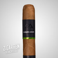 Carlos Andre Cast Off Short Robusto einzeln