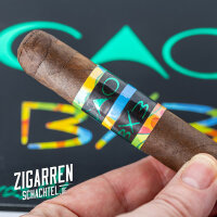 CAO BX3 Robusto einzeln