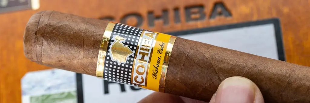 Cohiba Siglo VI